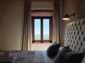 Bouganville Rosignano Marittimo